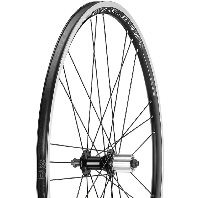 Bicycle fender liner-CAMPAGNOLO Wheelset Calima C17 Clincher Wheelset HG11 Shimano Freewheel Body