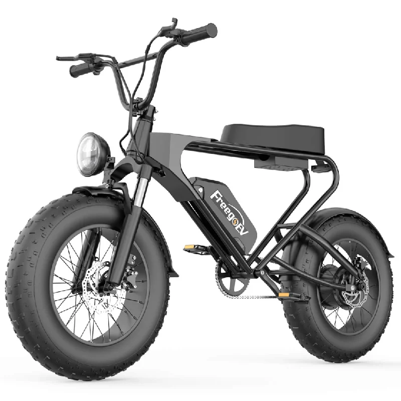 Cycling band guard-Freego DK200 Off Road Mountain Electric Bike 20'' Fat tires 20Ah Lithium Battery