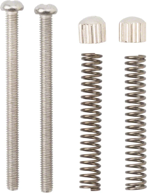 Bike chain liner-Cross Check Frame Replacement Dropout Screws Pair