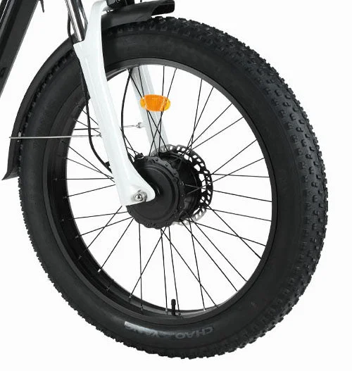 Road bike mount-2024 Hot Sale NEXUSRIDER Ebike Whole Replaceable Wheel & Tire